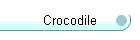 Crocodile