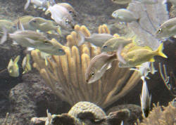 IMGP7989.JPG (103284 bytes)
